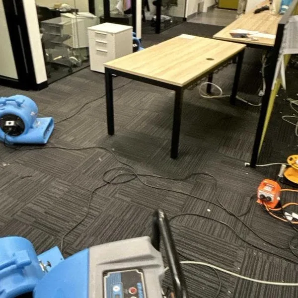 Commercial-scale drying equipment at an Auckland hospitality-sector flood