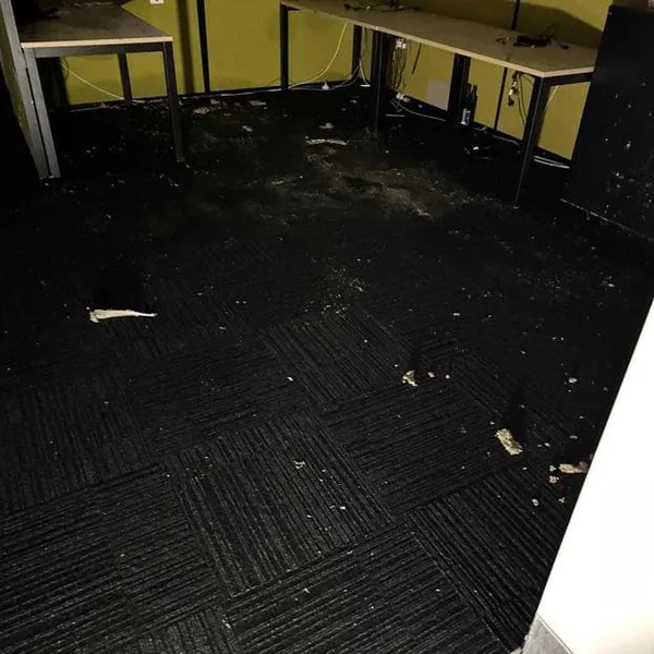 Close-up of water-saturated commercial carpet with debris from burst pipe