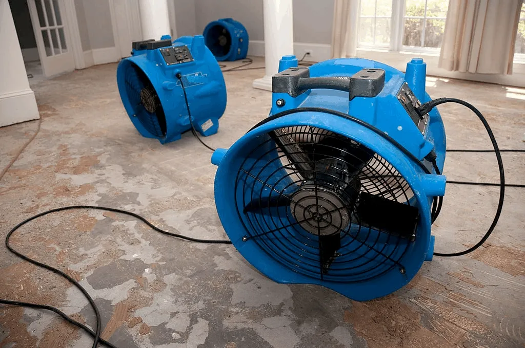 Professional flood restoration equipment deployed in Auckland home